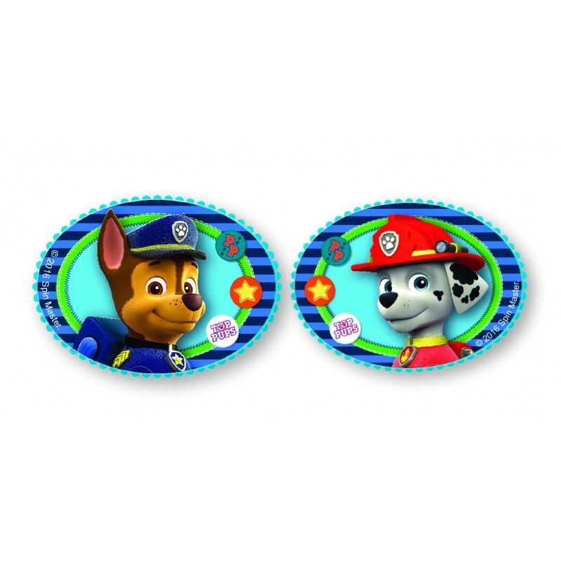 Oval furniture handle with Paw Patrol animated series characters, 2 pieces Paw patrol