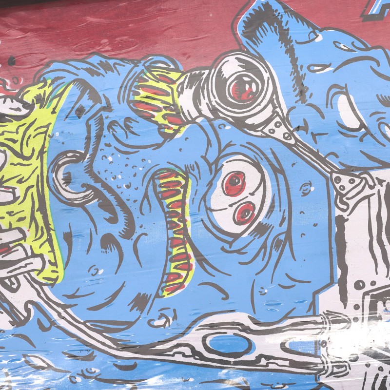Гроздобер скејтборд со графити принт Amaya