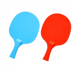 Table Tennis Coach Game KY 41810 2