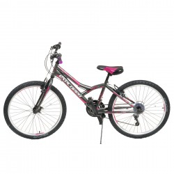 Bicicleta pentru copii EXPLORER DAISY 24", gri Venera Bike 42196 2